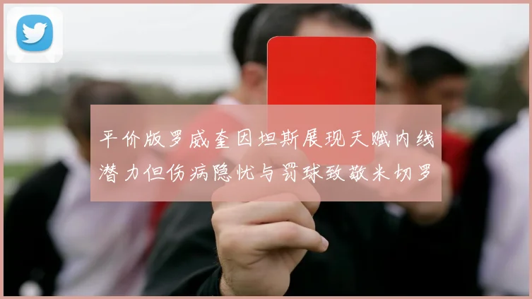 平价版罗威奎因坦斯展现天赋内线潜力但伤病隐忧与罚球致敬米切罗